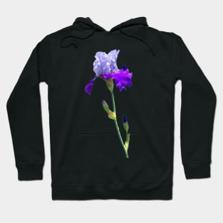 Iris Hoodie